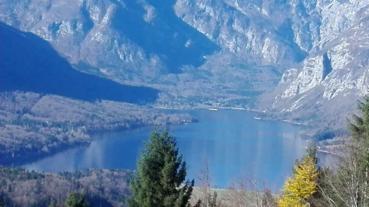 Apartmaji Korosec Na Koprivniku Apartment Koprivnik v Bohinju Exterior foto
